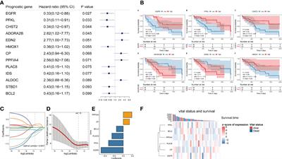 Development and Validation of a 6-Gene Hypoxia-Related Prognostic Signature For <mark class="highlighted">Chol</mark>angiocarcinoma